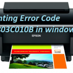 Printing Error Code 0x803C010B in windows 10